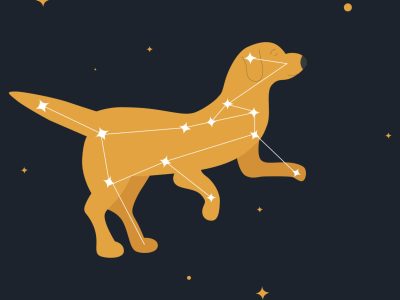 Canis-Major-Constellation-01-scaled